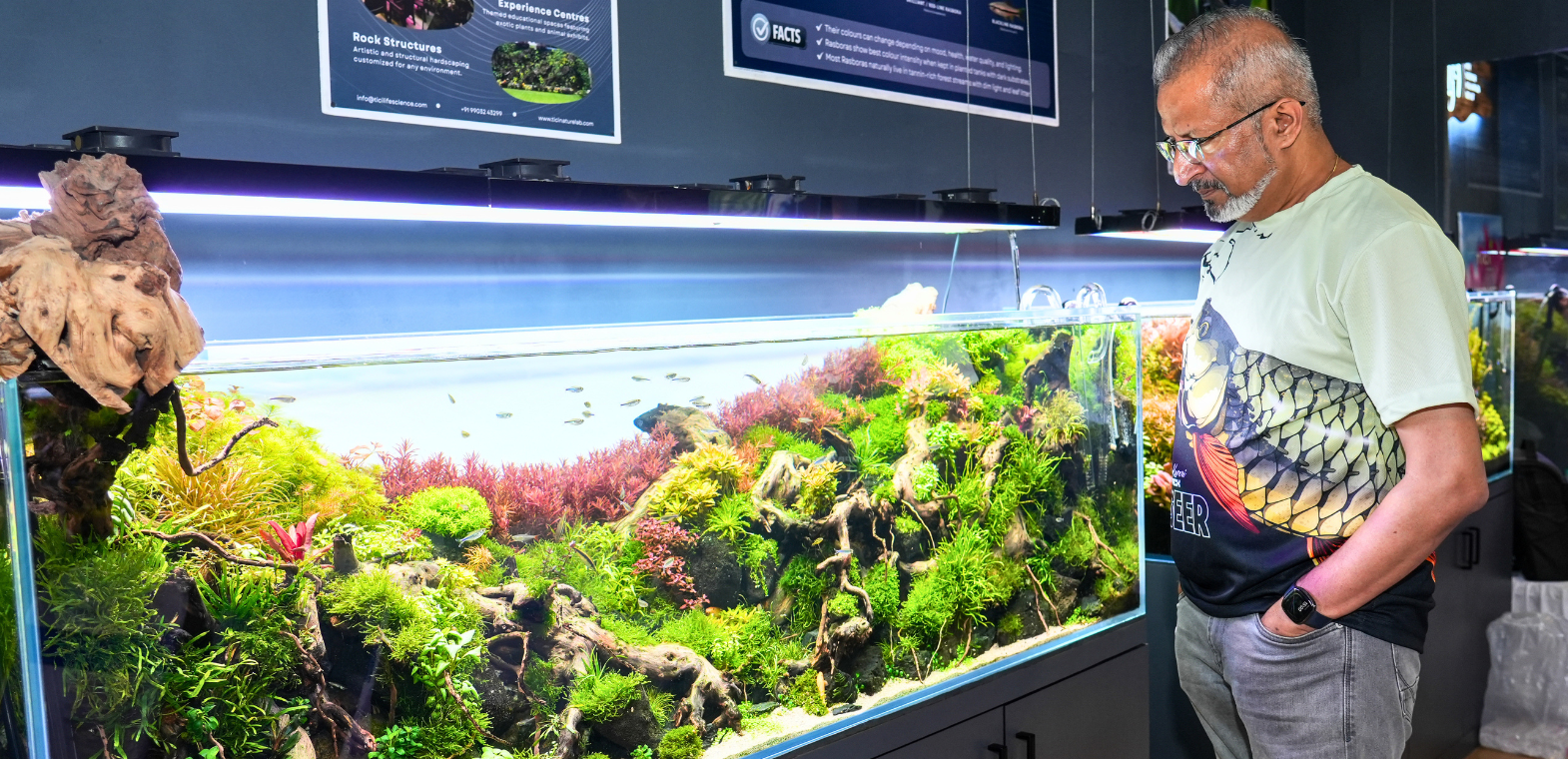 Man observing a large nature-style planted aquarium at TiCi NatureLab featuring mopani wood hardscape, aquatic plants, aquascaping design, and a vibrant freshwater ecosystem.