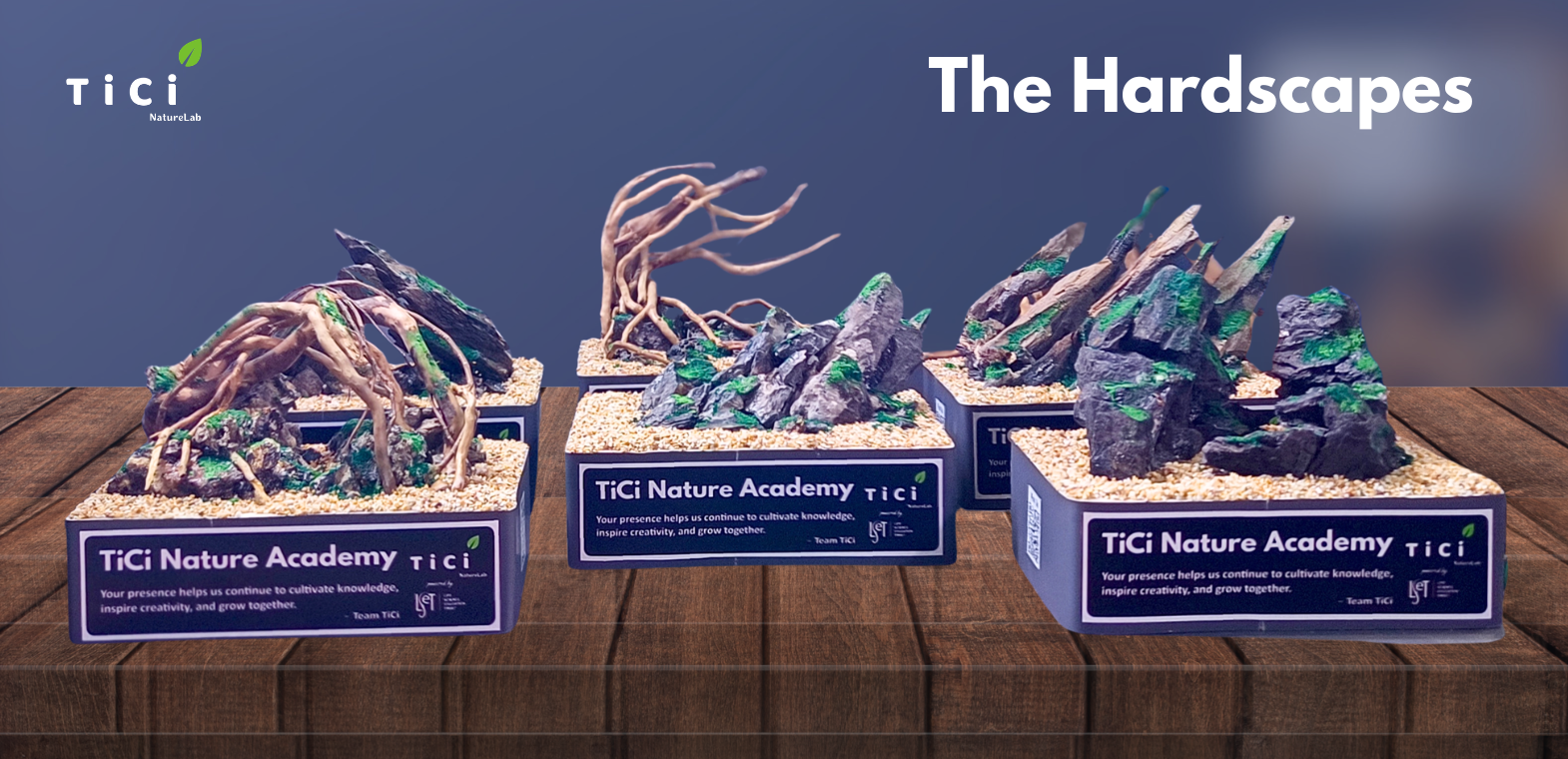 Handcrafted miniature hardscape mementos featuring wood and rock formations, created by TiCi Nature Academy as commemorative gifts for participants of the Nature Aquascaping MasterClass.