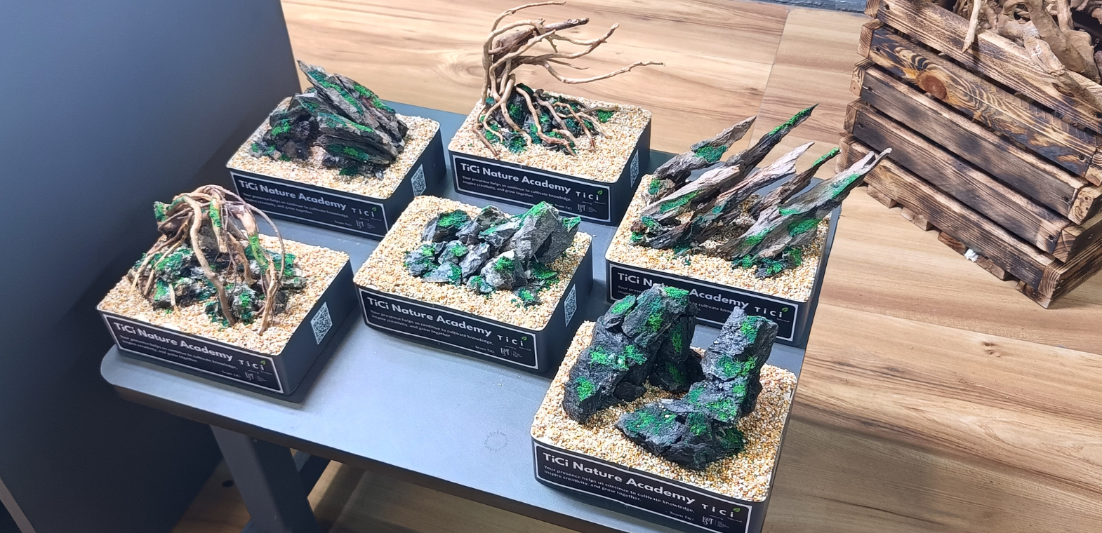 Handcrafted miniature hardscape mementos featuring wood and rock formations, created by TiCi Nature Academy as commemorative gifts for participants of the Nature Aquascaping MasterClass.