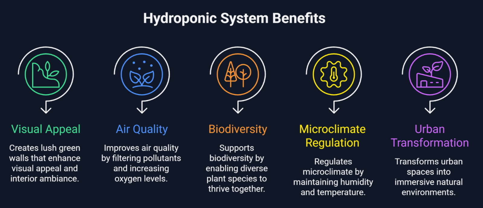 Infographic illustrating the key benefits of hydroponic systems, including enhanced visual appeal, improved air quality, biodiversity support, microclimate regulation, and urban space transformation through sustainable green infrastructure.