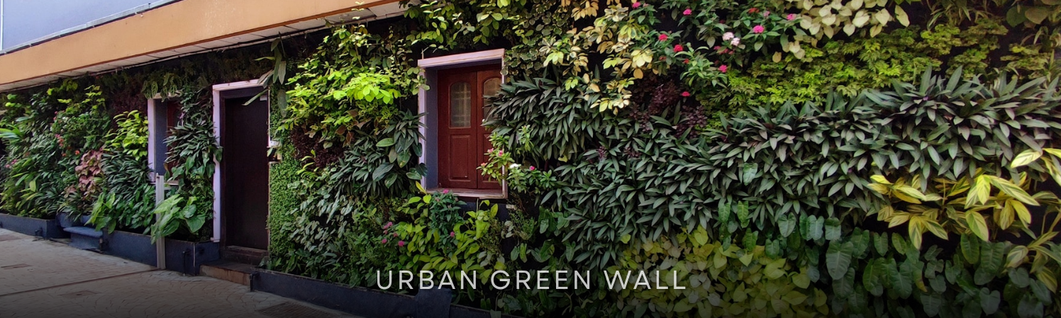 TiCi NatureLab urban green wall installation featuring a lush vertical garden with diverse tropical plants, creating a sustainable biophilic facade that enhances building aesthetics and environmental performance.