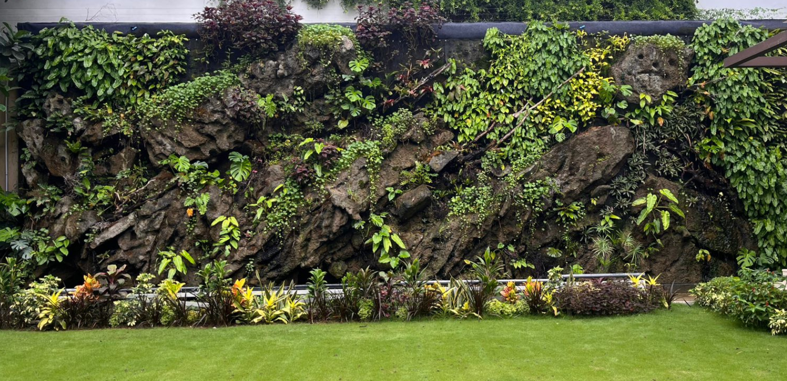 Outdoor green wall installation at TiCi NatureLab featuring dense tropical foliage, ferns, elephant ear plants, climbing vines, and ornamental greenery in a sustainable vertical garden system.
