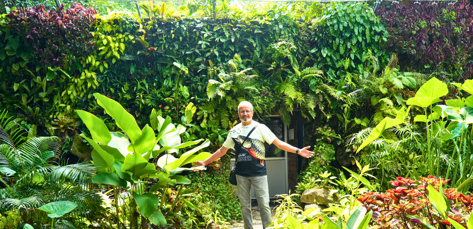 Man standing in front of a large vertical green wall at TiCi NatureLab, surrounded by tropical foliage, ferns, ornamental plants, and layered living plant installations.