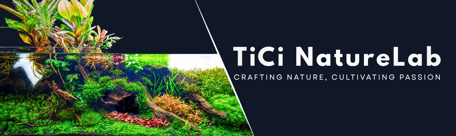 TiCi NatureLab banner showcasing freshwater aquascapes with lush green plantation and "Crafting Nature, Cultivating Passion" written.
