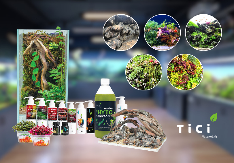 TiCi NatureLab: Designing Living Ecosystems That Bring Nature Closer