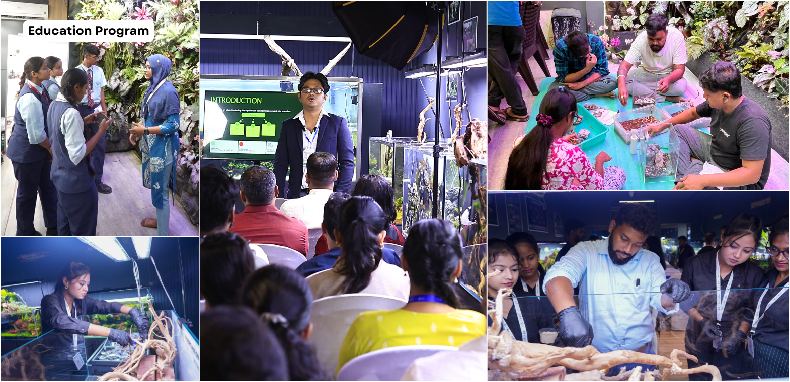 TiCi Nature Academy conducting hands-on training in aquascaping, paludarium design, vertical gardening, ecosystem design, and nature-based education through practical workshops and expert-led sessions.