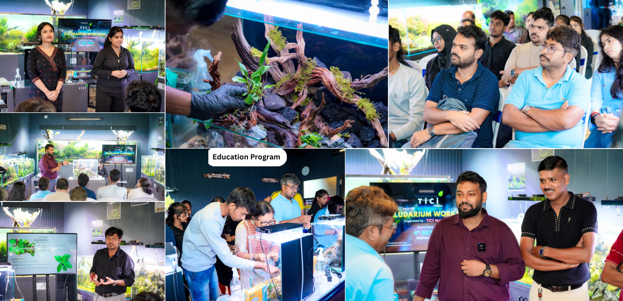 TiCi Nature Academy conducting hands-on training in aquascaping, paludarium design, vertical gardening, ecosystem design, and nature-based education through practical workshops and expert-led sessions.