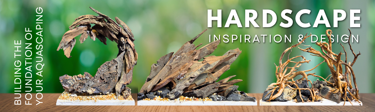 Nature-inspired aquascaping hardscape designs featuring handcrafted driftwood and stone compositions for freshwater aquariums. The banner showcases three unique aquascape hardscape layouts with the text "Hardscape Inspiration & Design – Building the Foundation of Your Aquascaping" against a lush green forest-inspired background.