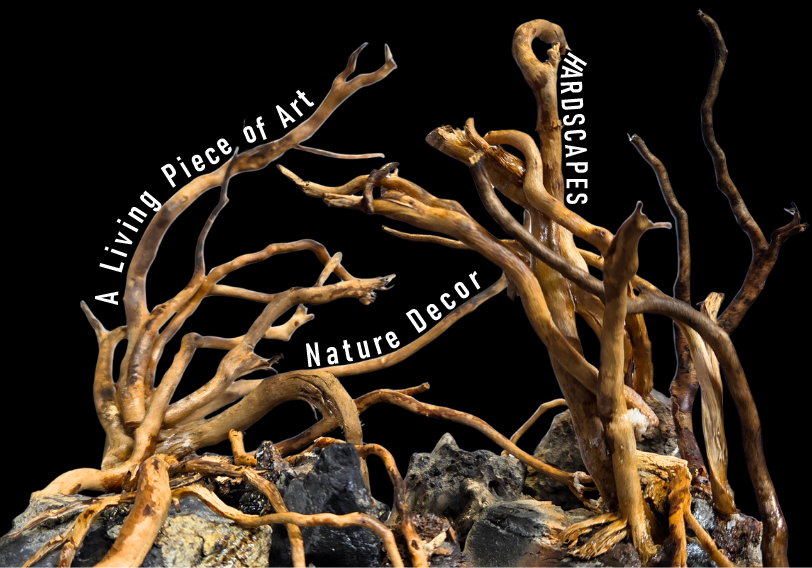 Custom driftwood hardscape with natural rocks arranged in an artistic composition, showcasing a nature-inspired display for aquascaping, aquarium decor and premium interior decoration. A handcrafted living piece of art designed by TiCi NatureLab.