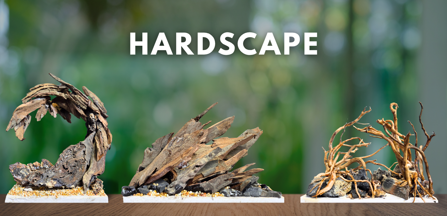 TiCi NatureLab custom aquascaping hardscapes featuring handcrafted driftwood and natural stone layouts for freshwater planted aquariums, nature aquariums, and aquatic landscape design.