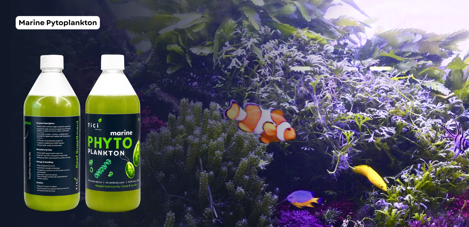 TiCi Marine Phytoplankton live microalgae culture for marine aquariums, providing natural nutrition for corals, filter feeders, marine fish larvae, copepods, rotifers, and healthy saltwater ecosystems.