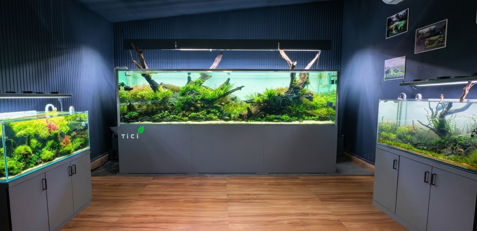 TiCi NatureLab Freshwater Gallery showcasing custom freshwater planted aquariums, artistic aquascapes, aquatic plants, natural hardscapes, and thriving freshwater ecosystems.