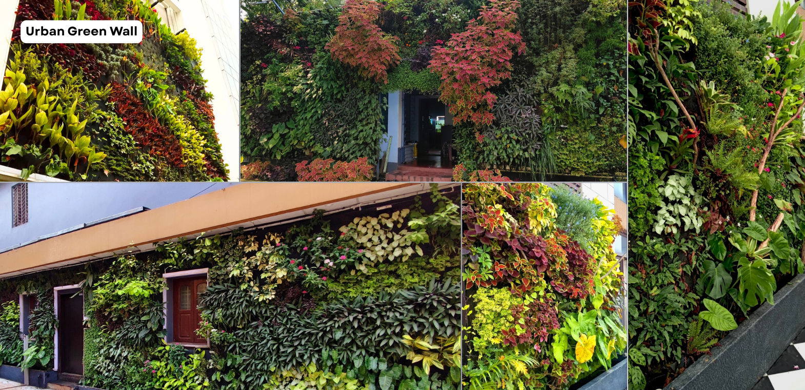 TiCi NatureLab Urban Green Wall featuring hydroponic vertical gardens with tropical plants, automated irrigation, and sustainable living wall systems for homes, offices, and commercial spaces.