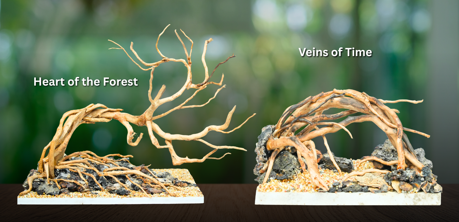 Nature-inspired aquarium hardscape designs titled "Heart of the Forest" and "Veins of Time," featuring handcrafted driftwood roots, natural stones, and decorative substrate for freshwater aquascaping and planted aquarium layouts.
