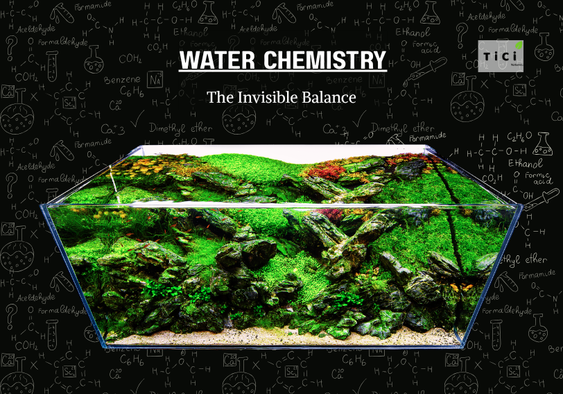 The Invisible Balance: Mastering Water Chemistry for a Thriving Freshwater Aquarium